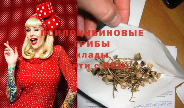 apvp Беломорск